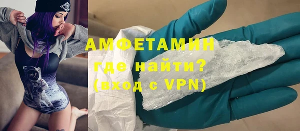 сатива Покачи