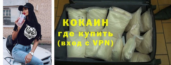 сатива Покачи