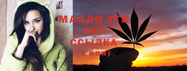 сатива Покачи