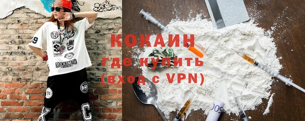 сатива Покачи