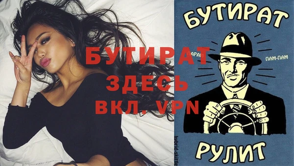 сатива Покачи