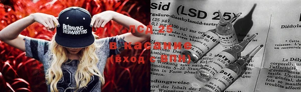 сатива Покачи