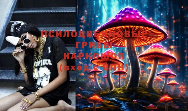 сатива Покачи