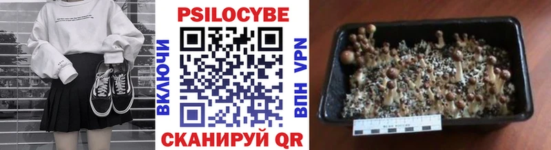 Галлюциногенные грибы прущие грибы  цены   Туран 